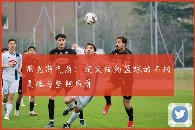 尼克斯气质:定义纽约篮球的不朽灵魂与坚韧风骨